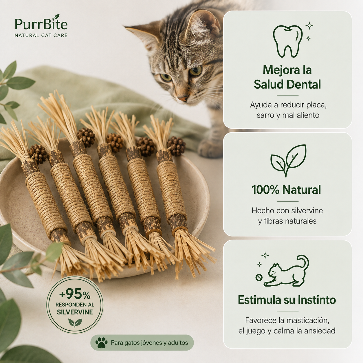 PurrBite™ Pack de Sticks Dentales para tu Gato