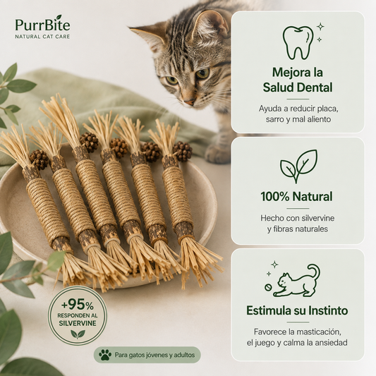 PurrBite™ Pack de Sticks Dentales para tu Gato