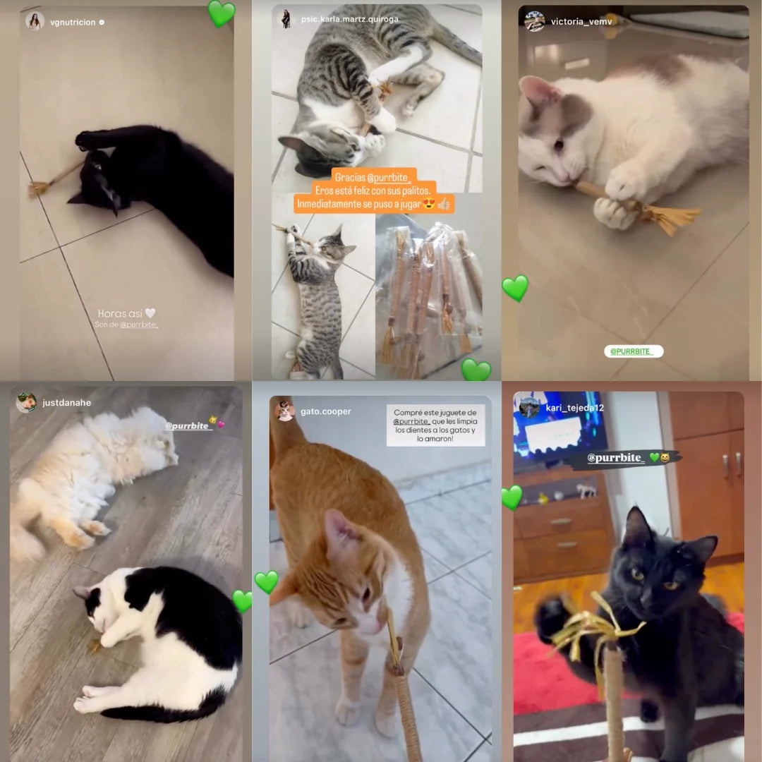 PurrBite™ Pack de Sticks Dentales para tu Gato